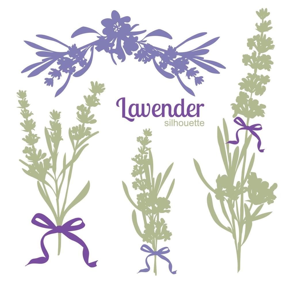 Set of silhouettes of lavender flowers vector