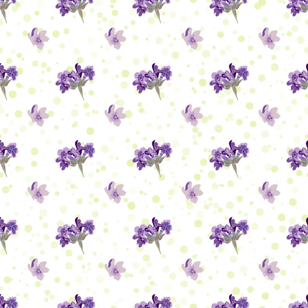 Seamless Lavender flowers background. Botanical illustration. vector