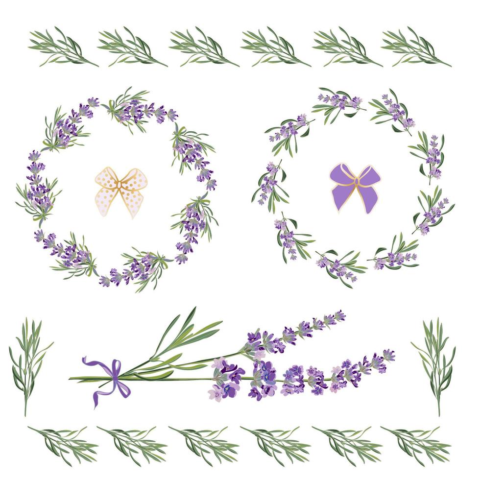 establecer marcos festivos y elementos con flores de lavanda para tarjetas de felicitación. ilustración botánica. vector