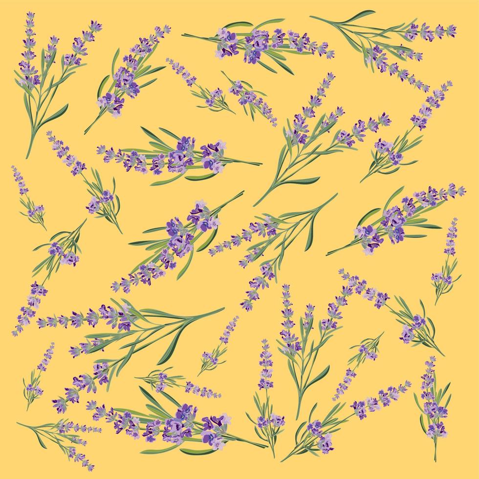 Background with flower frame Lavender for Invitation card vector