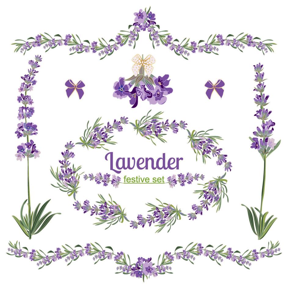 Set festive frames and elements with Lavender flowers for greeting card. Botanical illustration. vector