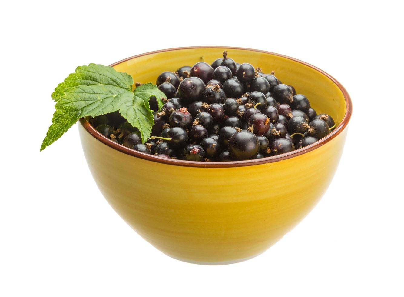 Black currant on white photo