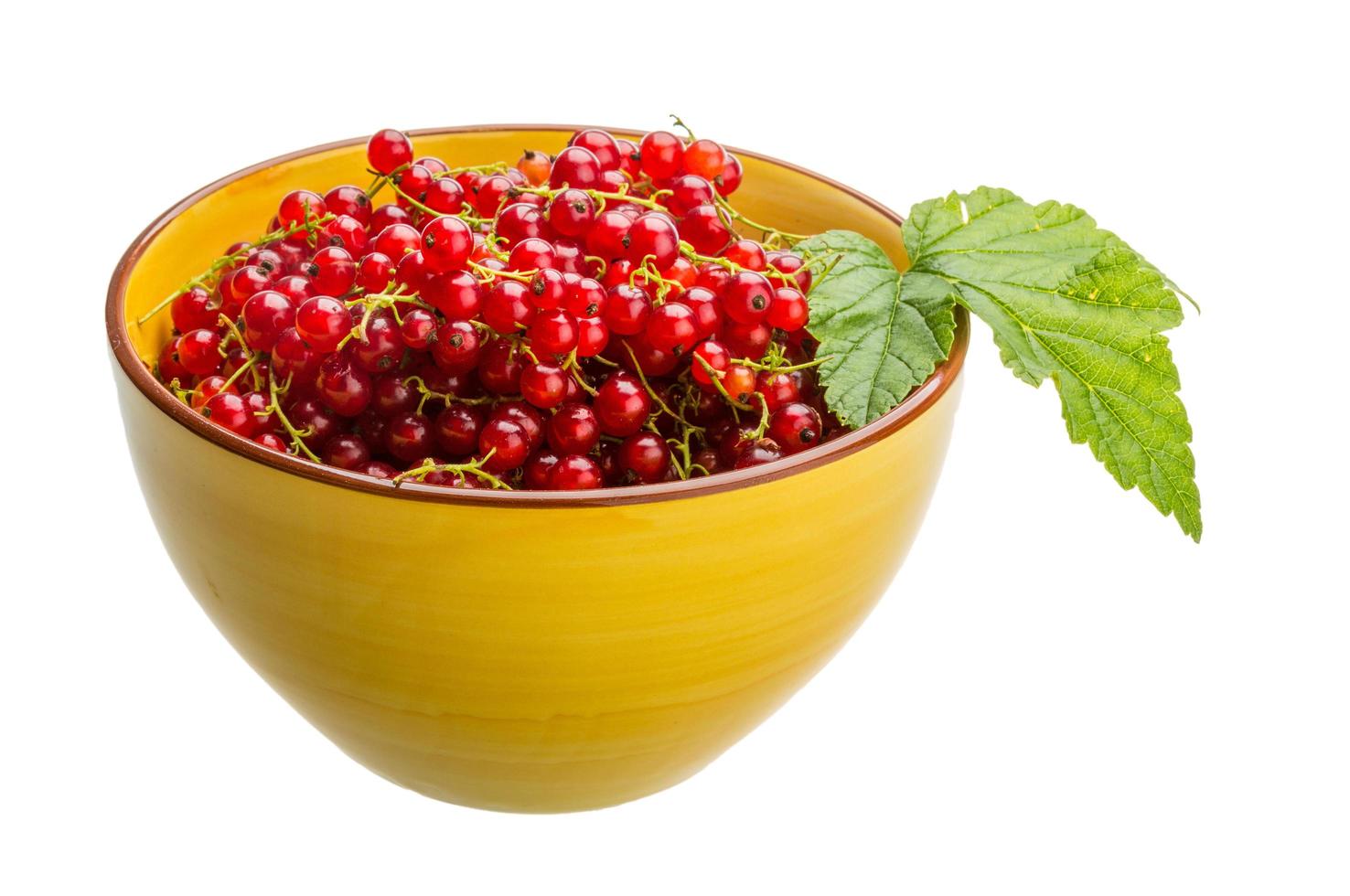 Red currant on white photo