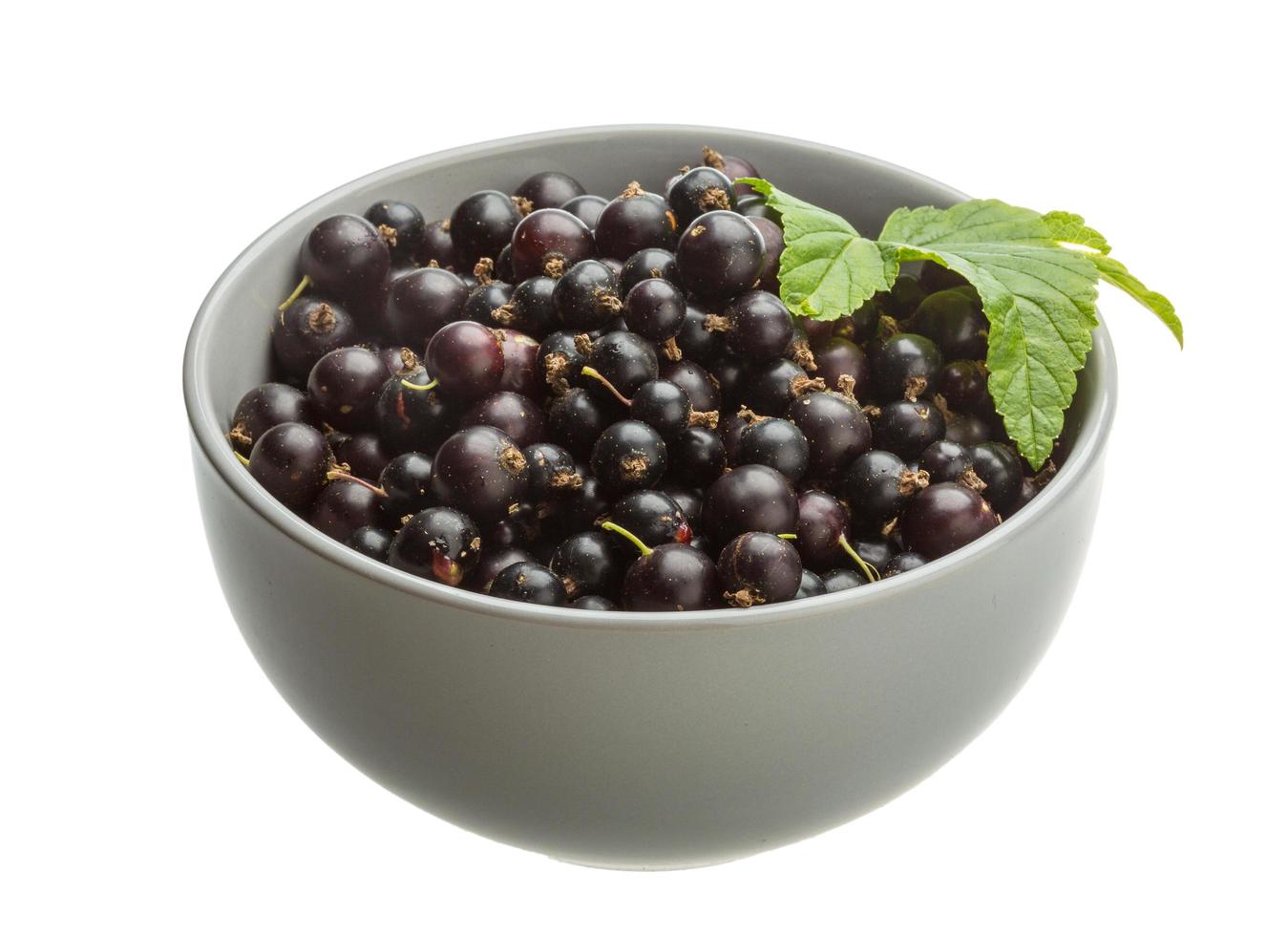 Black currant on white photo