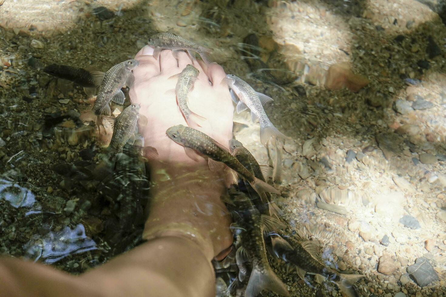 Fish Spa and treatment at waterfall for feet photo