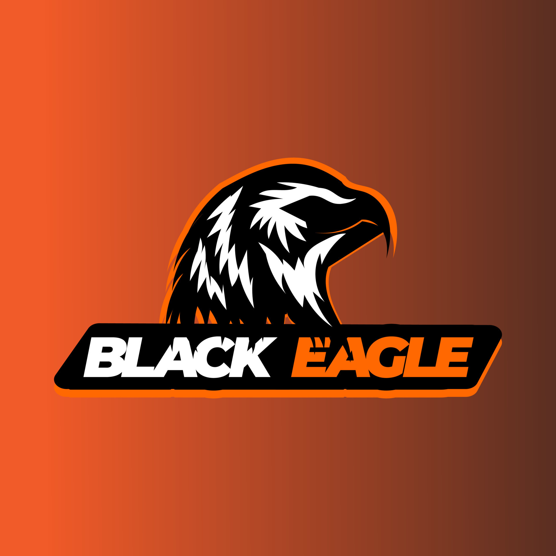 Black Eagles e-Sports