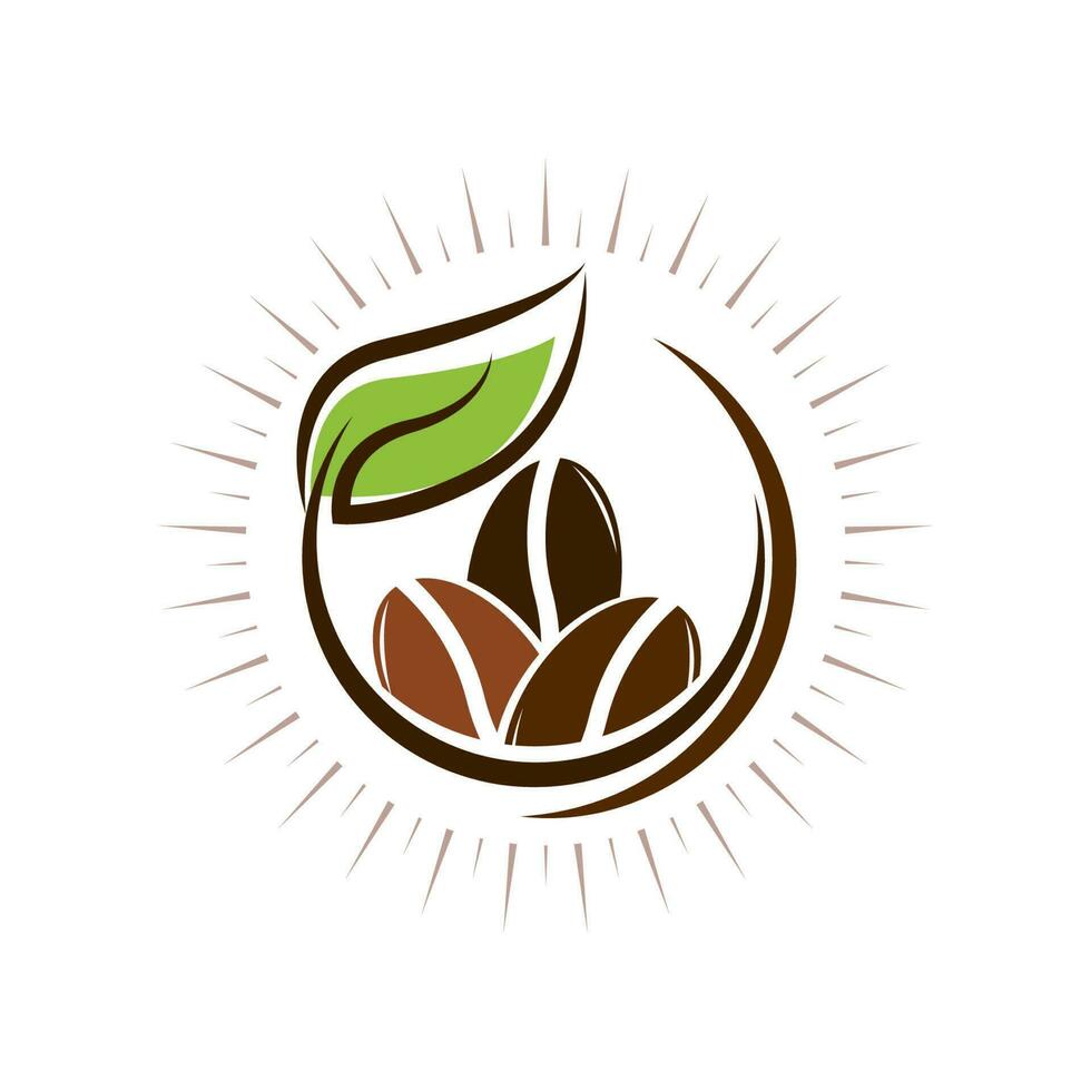 coffee bean icon vector
