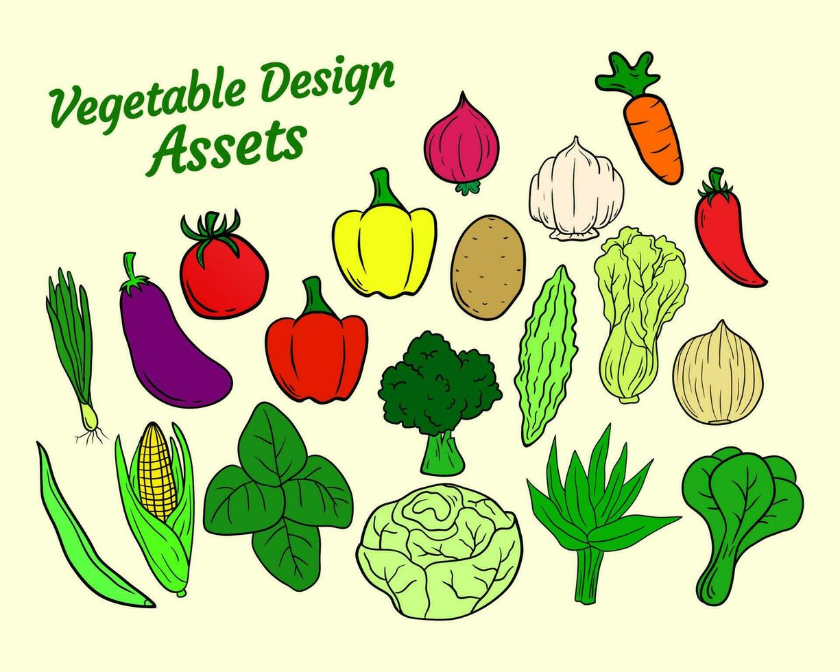 Vegetables Design Asset Vector Illustrations