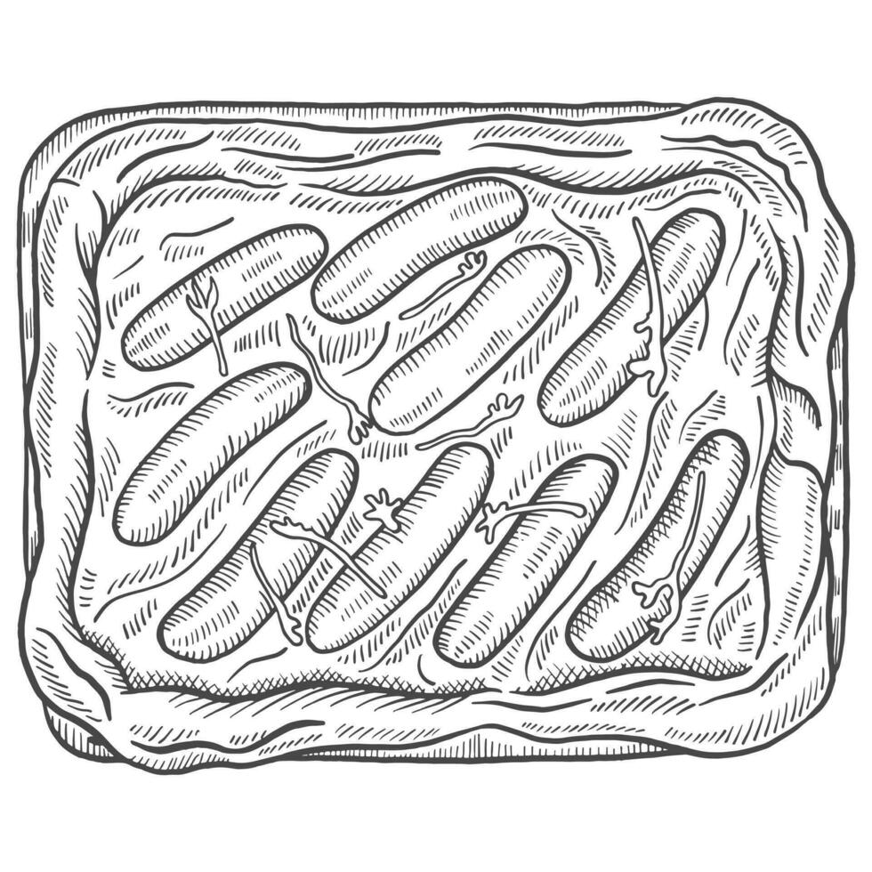sapo en el agujero comida británica o inglesa cocina aislada garabato boceto dibujado a mano con estilo de esquema vector