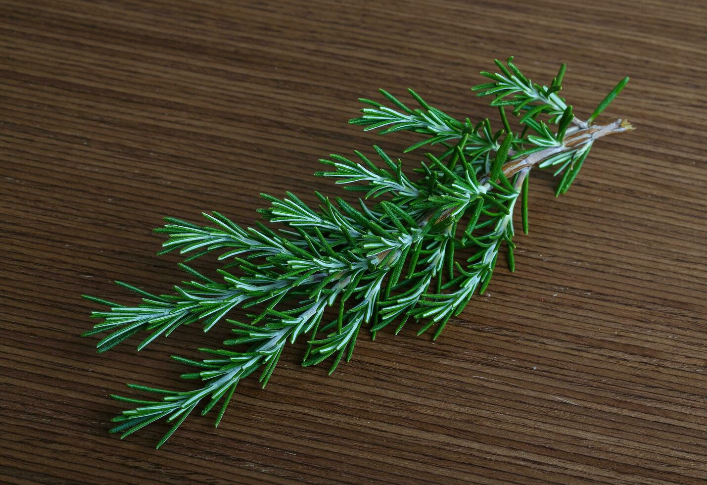 Rosemary branch on wooden background photo