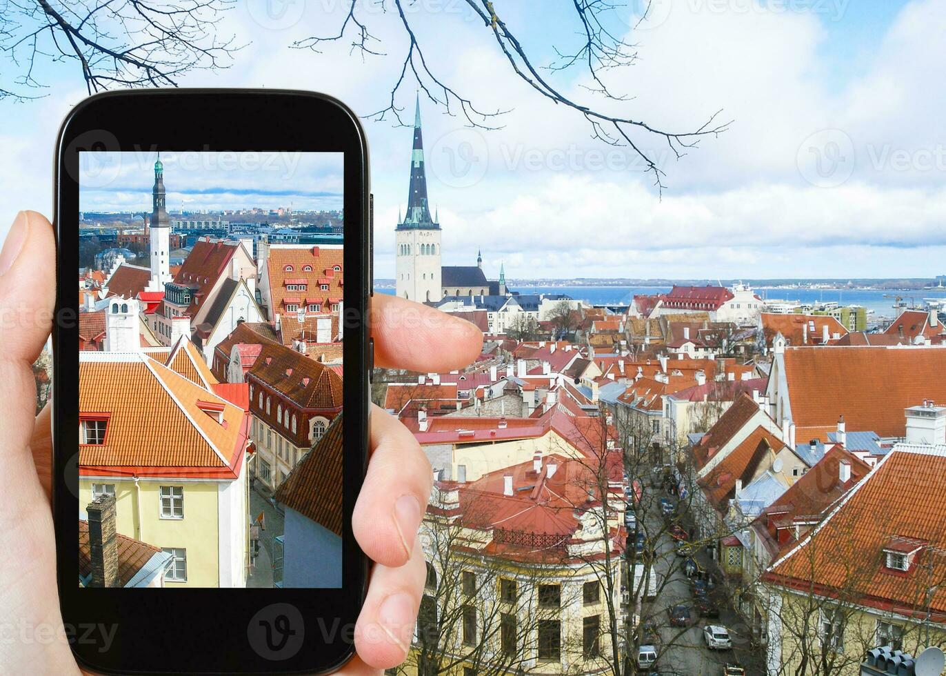 tourist photographs Tallinn city cityscape photo