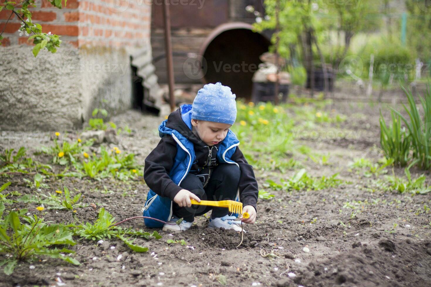 A child is planting a garden. A child's rake in his hands. A little gardener boy is planting plants in a flower bed. Gardening tools in the hands of a child. photo