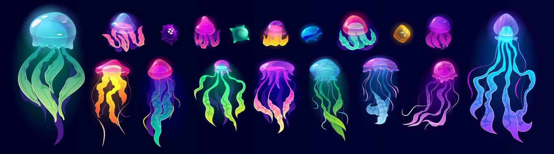 Jellyfish underwater animals, colorful jelly fish vector