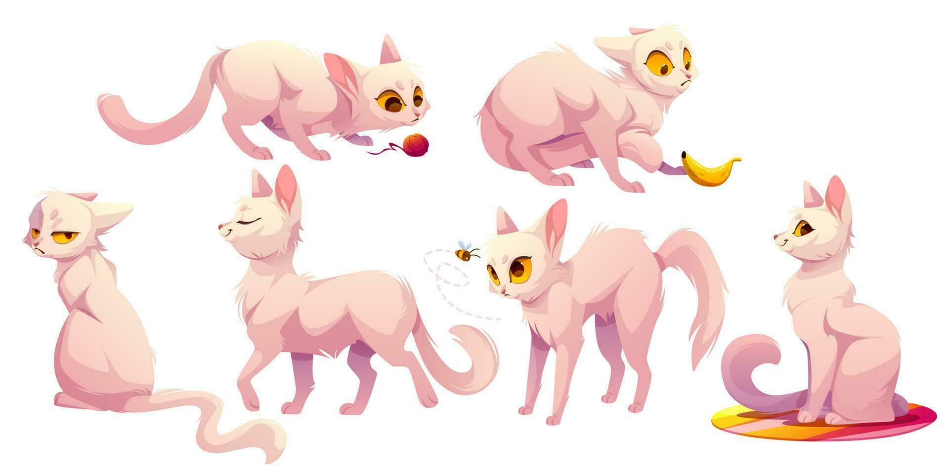 Cute white cat character in different poses vector