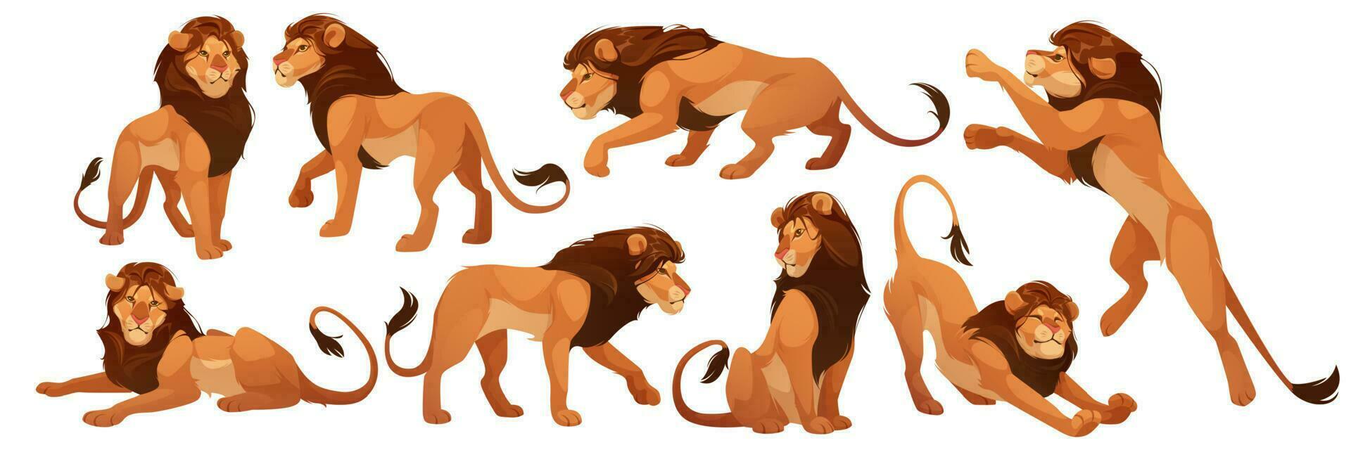 Lion wild african animal, leo king isolated set vector