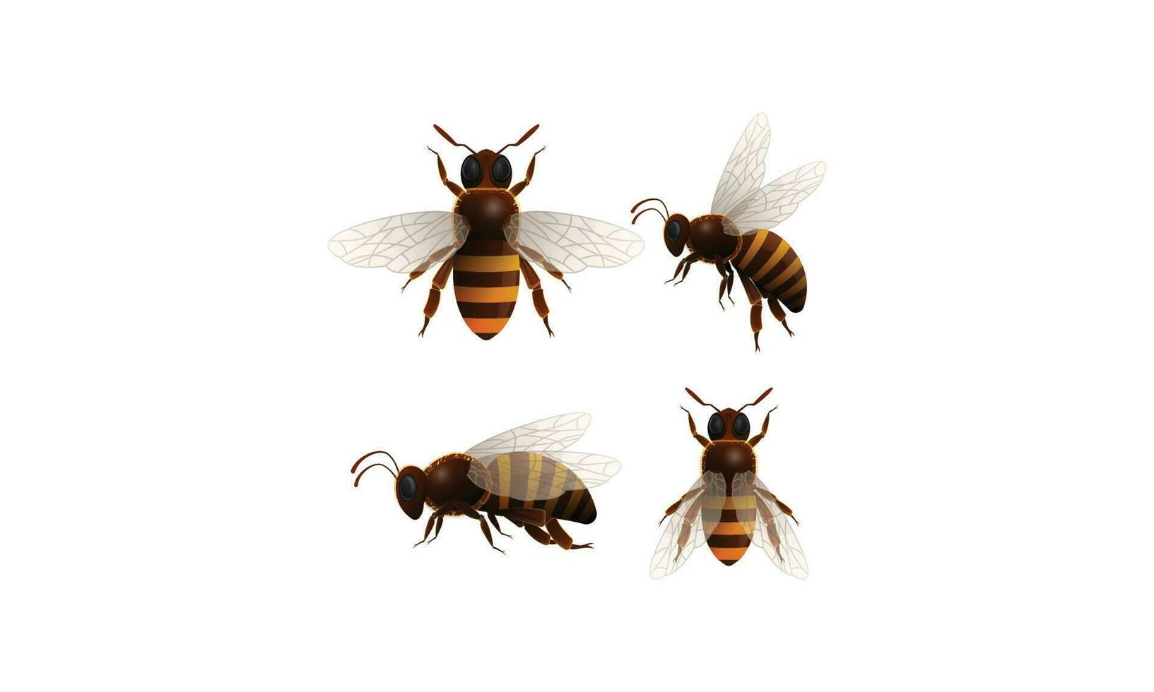 icono de conjunto de dibujos animados aislados de abeja de miel. ilustración vectorial animal de abeja sobre fondo blanco. vector de dibujos animados conjunto icono miel de abeja