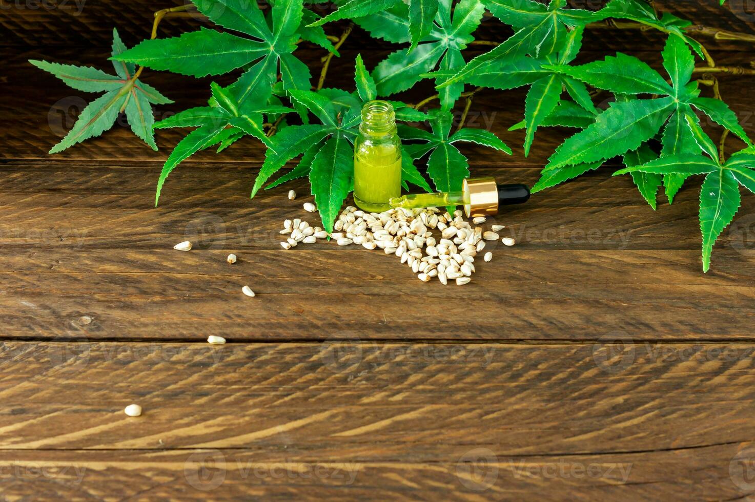 cannabis CBD oil hemp products - capsules and seeds of hemp photo