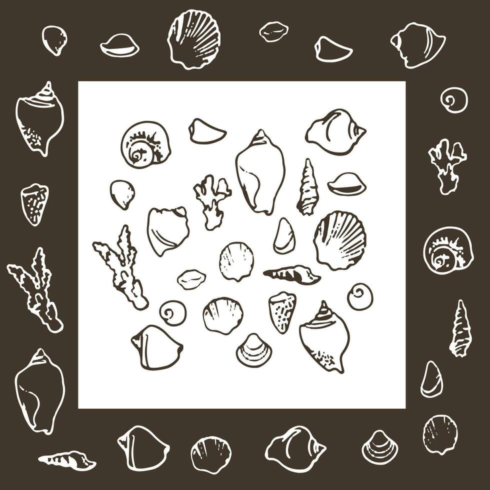 Hand drawn vector illustrations. Collection of shell. Perfect for invitations, fabric, textile, linens, posters, prints, banners