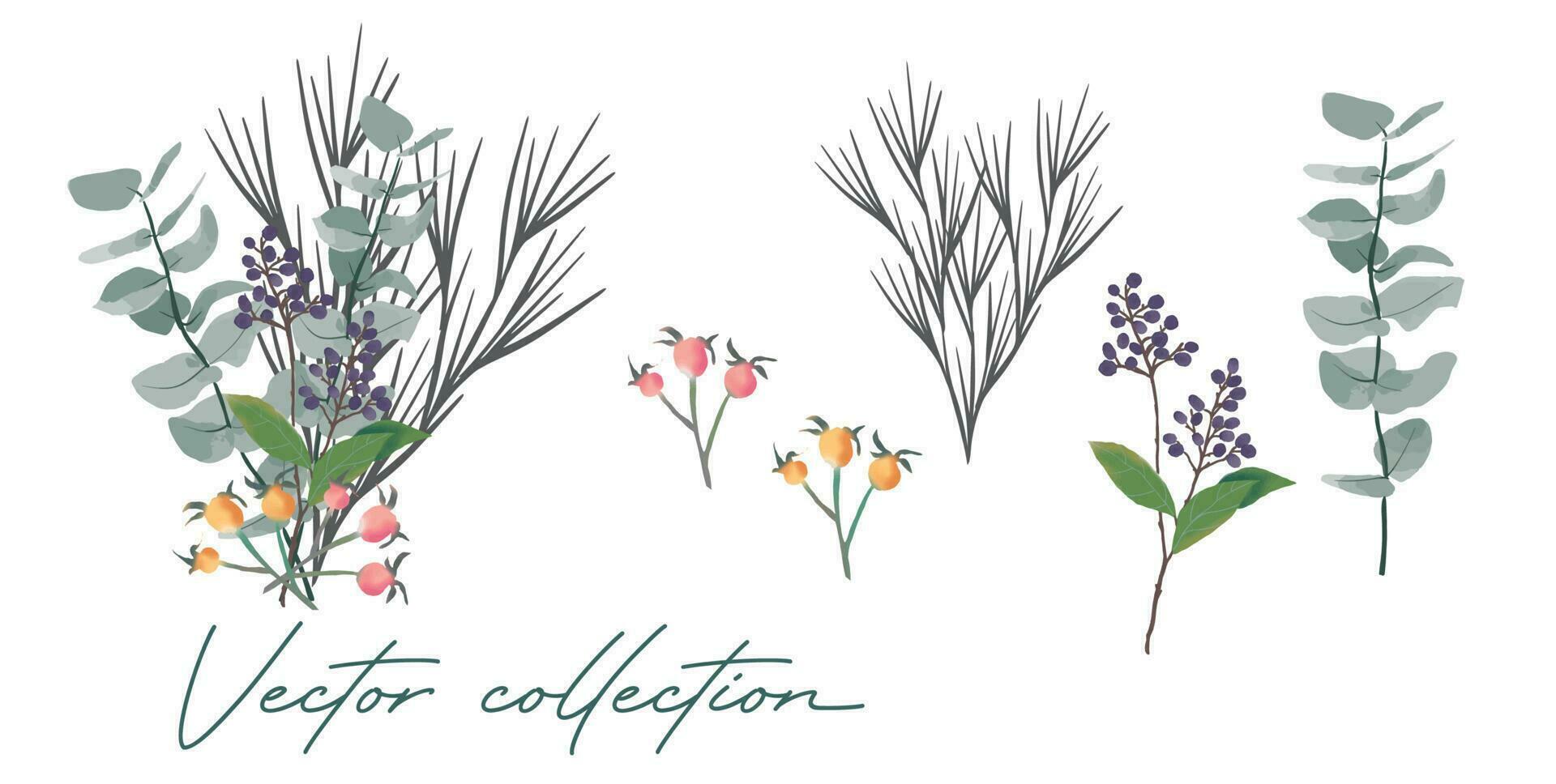 Floral branches set. Wedding concept with flowers. Floral poster, invite. Vector design schemes for greeting cards or invitations