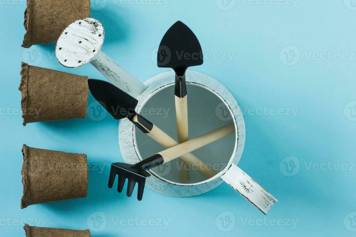 Growing plants. Food Germination newborn sprouts. Gardening tools on blue background. Gardening concept. Flat lay. Place for text photo