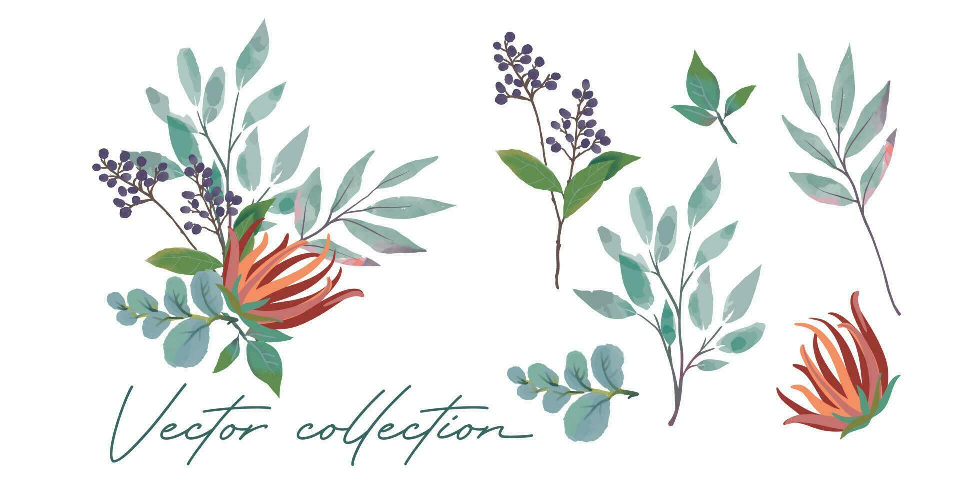 Floral branches set. Wedding concept with flowers. Floral poster, invite. Vector design schemes for greeting cards or invitations
