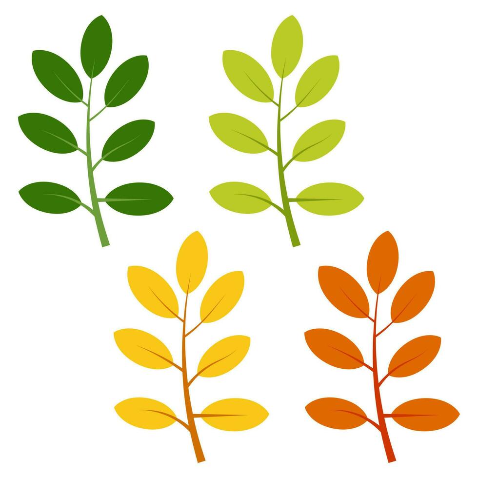 Set of green, yellow and red leaves isolated on white background. Vector illustration of autumn leaves.