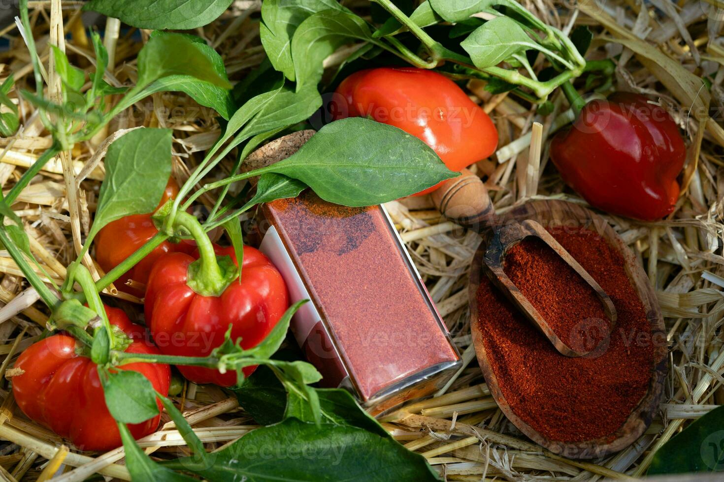 smoked red Hungary Paprika sweet or spicy photo