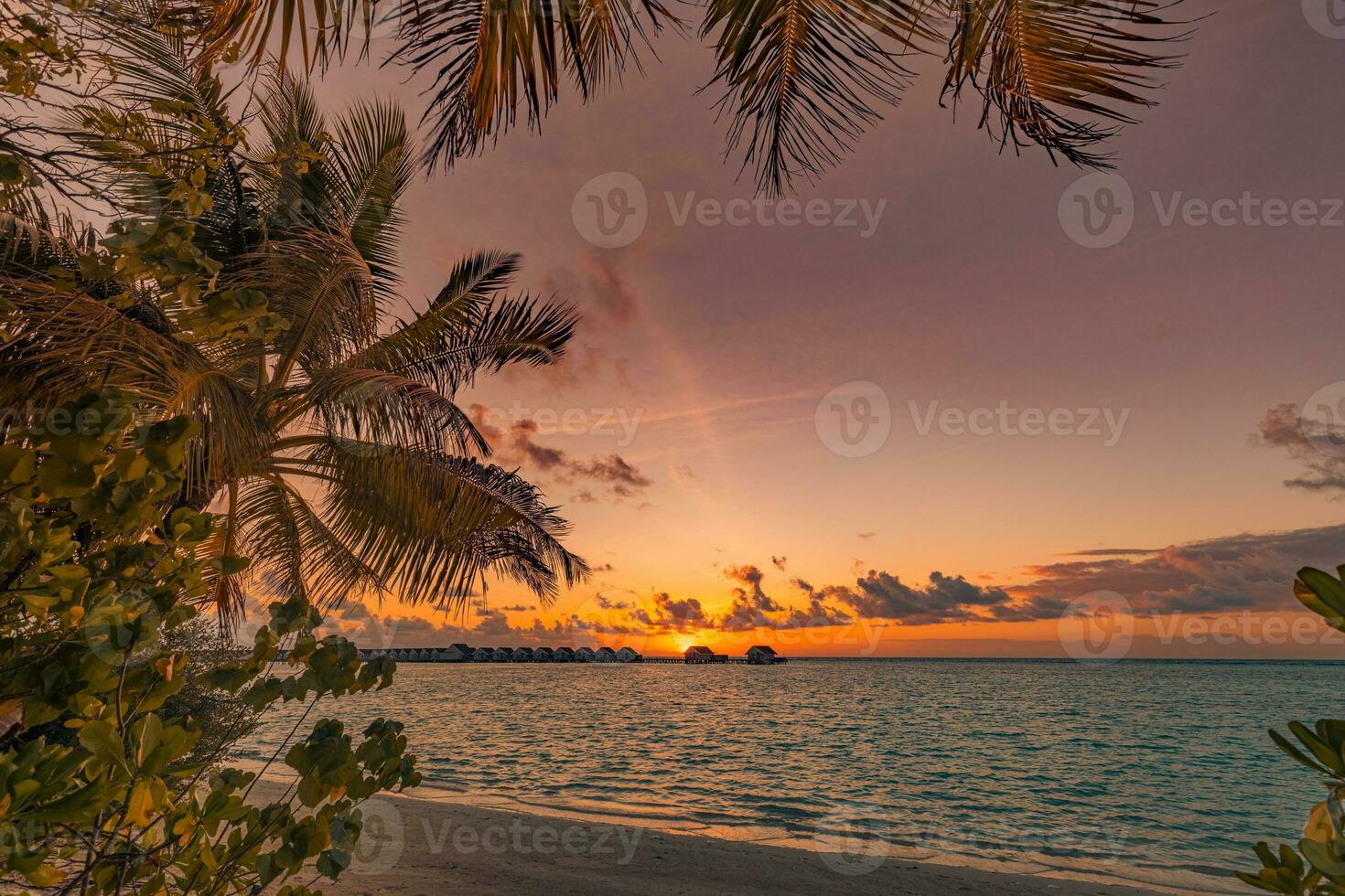 silueta de palmeras y horizonte marino. hermosa puesta de sol en el fondo de la playa de la costa de la isla tropical para viajar en tiempo de relajación de vacaciones. villas de agua en maldivas, vacaciones exóticas. amanecer romantico foto