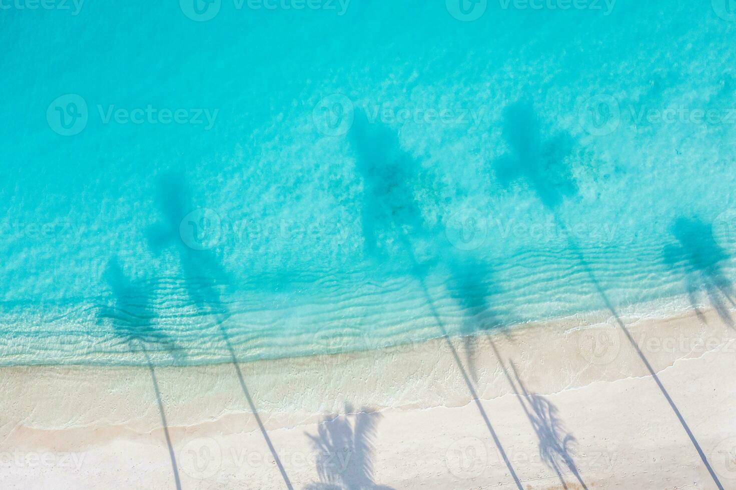 hermosa sombra de palmeras en la playa de arena y el océano turquesa desde arriba. increíble paisaje natural de verano. impresionante paisaje de playa soleada relajante plantilla de vacaciones de playa pacífica e inspiradora foto