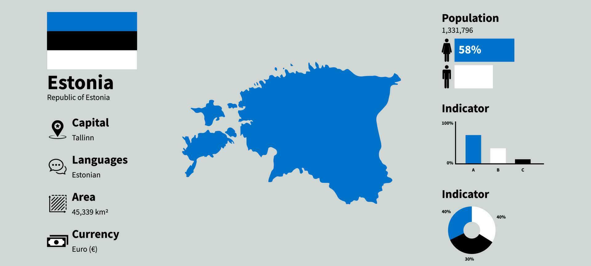 Estonia Country Fact Sheet, Estonia infographics data vector