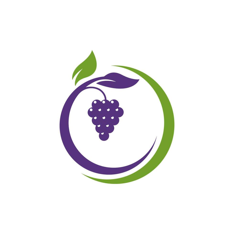 Grapes vector icon illustration design