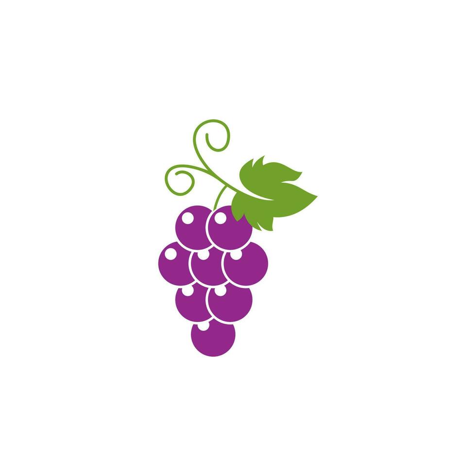 Grapes vector icon illustration design