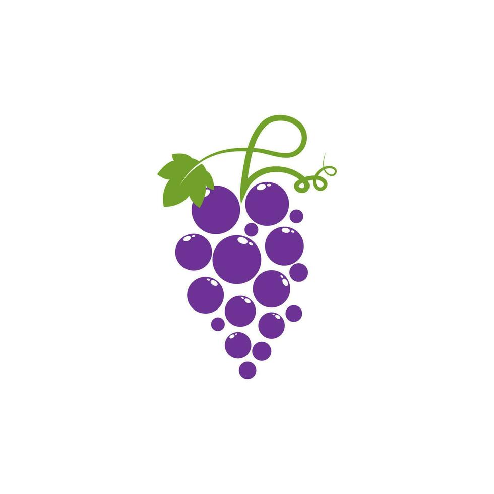 Grapes vector icon illustration design
