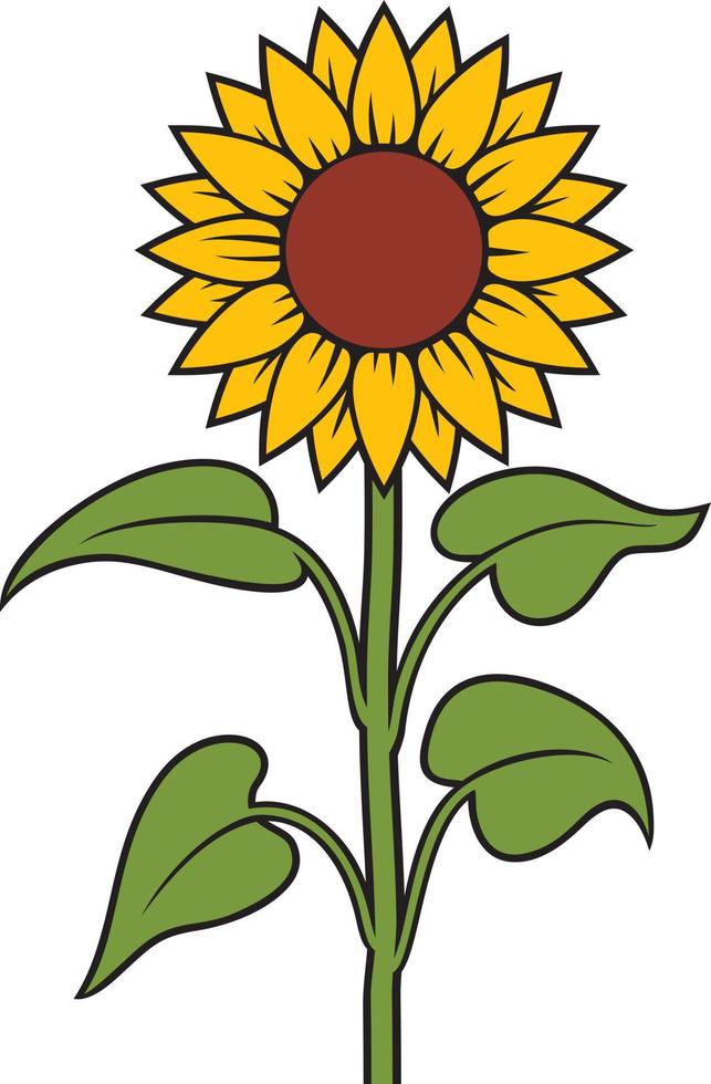 Ilustración de vector de color de tallo de girasol