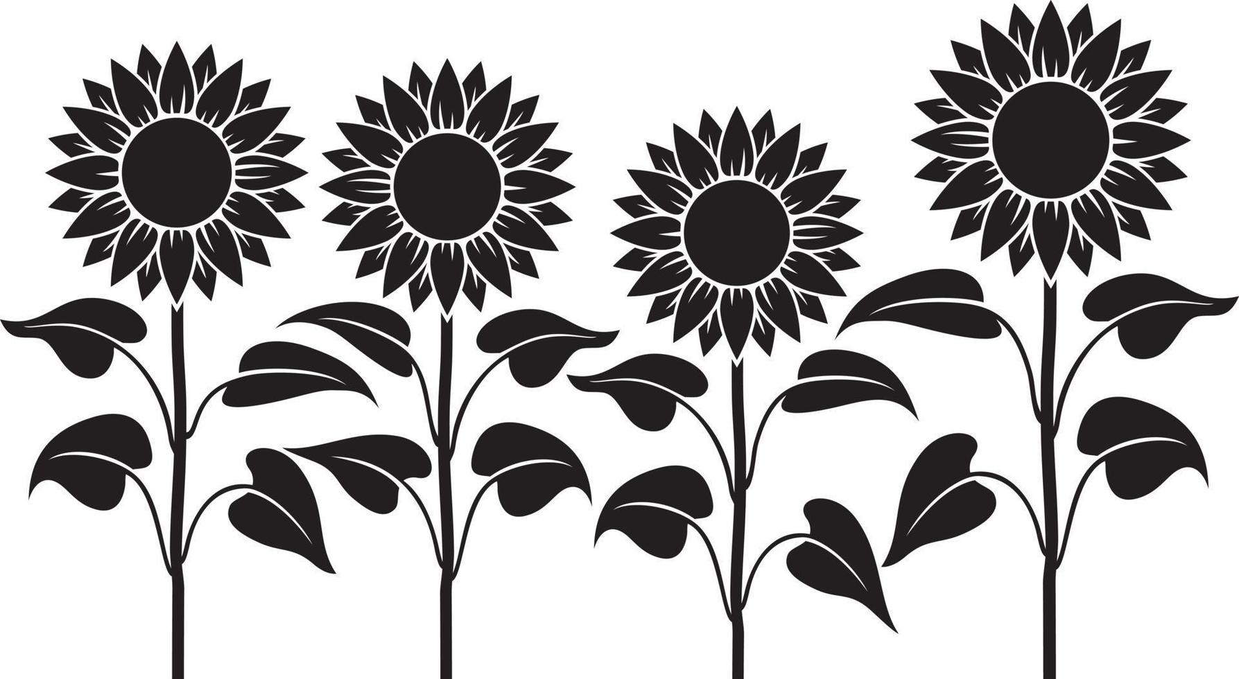 Sunflower Stem Black and white. Vector illustration.