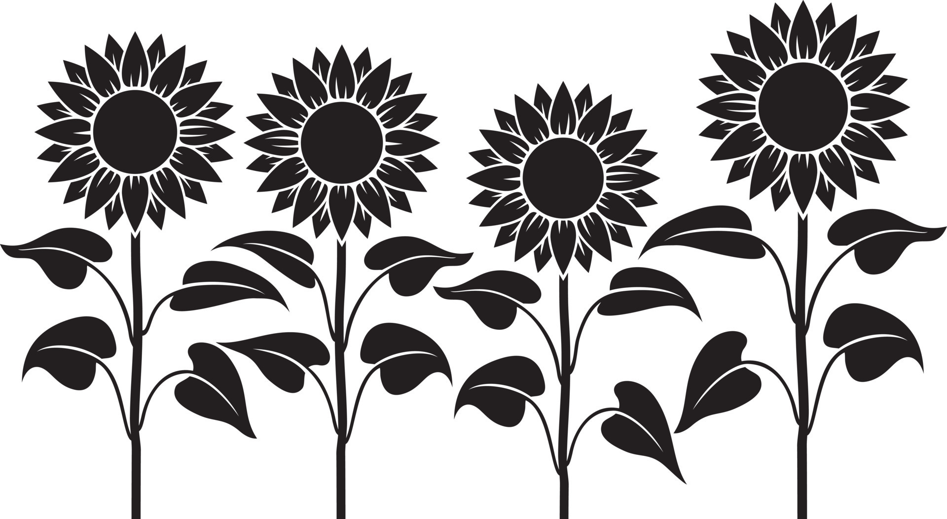 Sunflower Stem Black and white Vector illustration 12867358 Vector