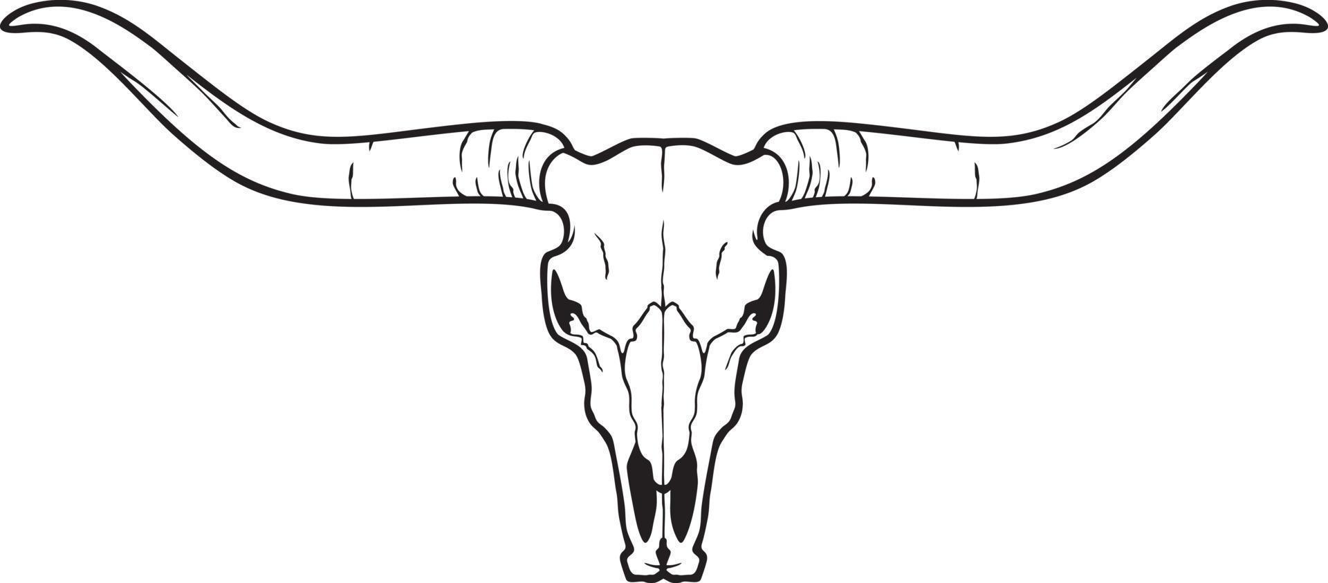 Longhorn head skull - bull or cow icon. Vector illustration. 12867371