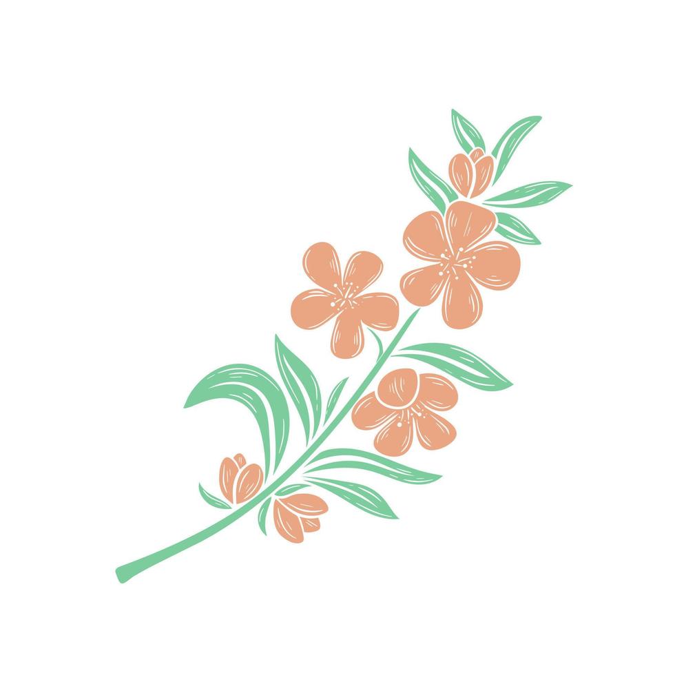 Flowering twig of apple or cherry tree vector
