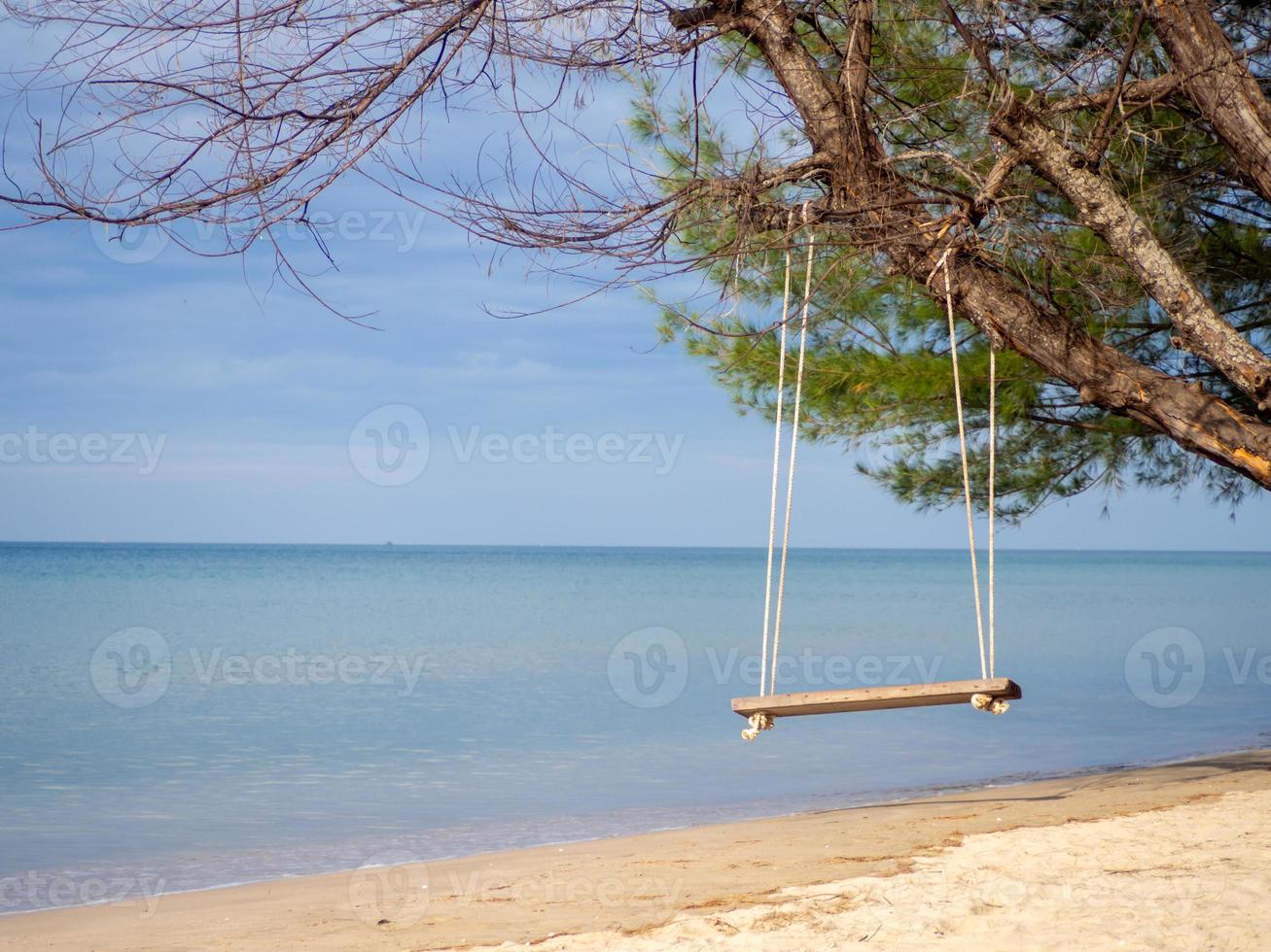 Wooden swing hanging on the tree On the background is a blue sea. photo