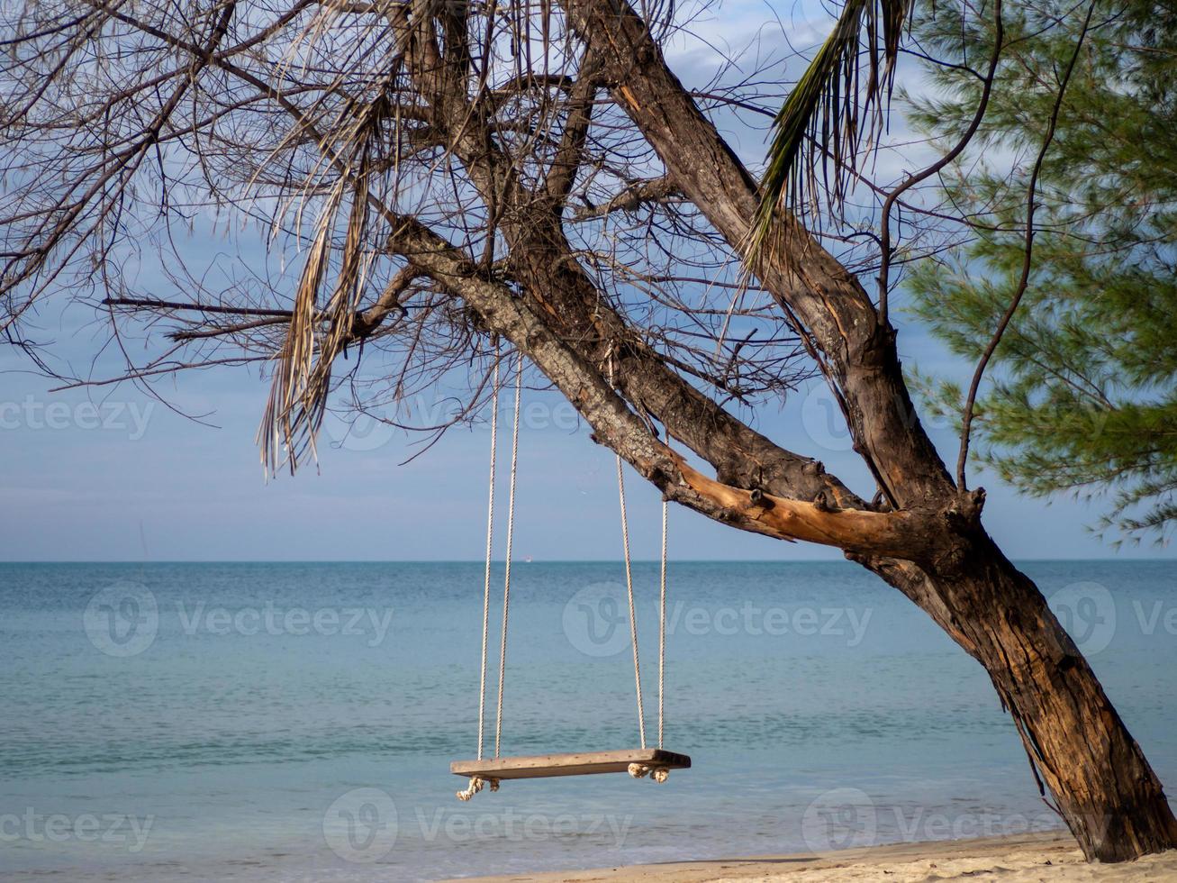 Wooden swing hanging on the tree On the background is a blue sea. photo