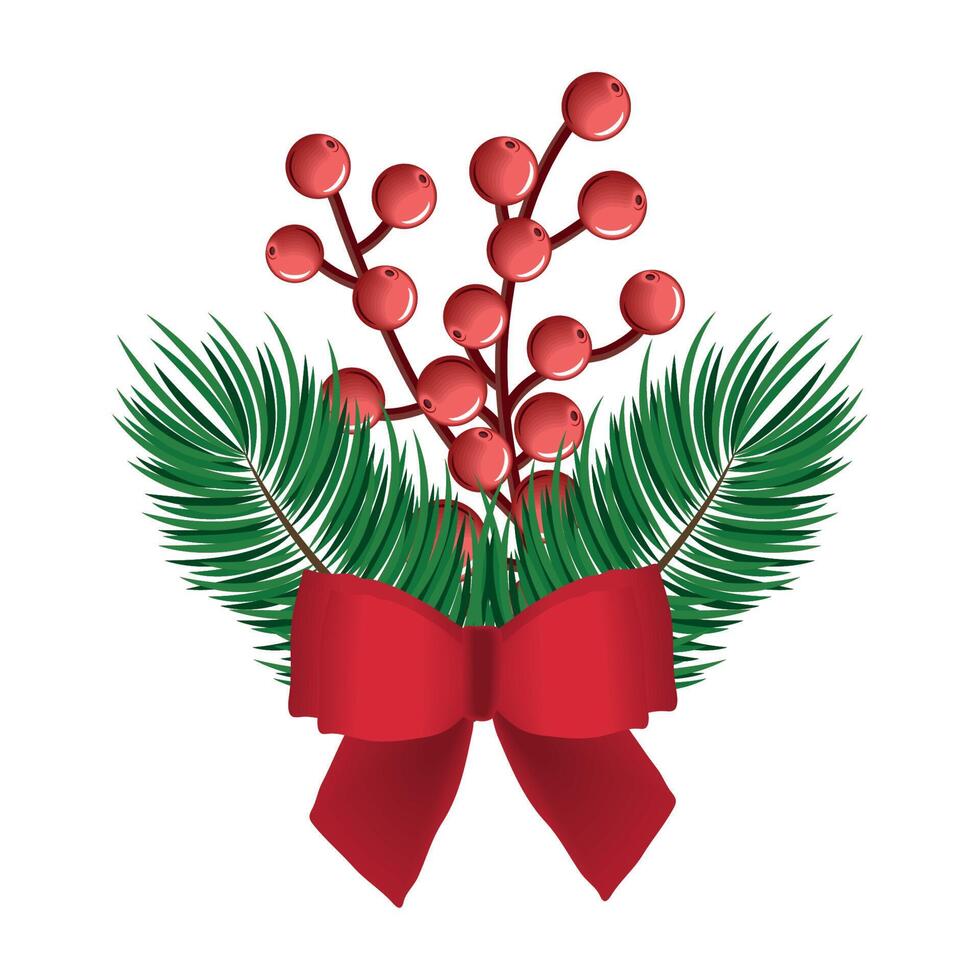 christmas seeds and firs vector