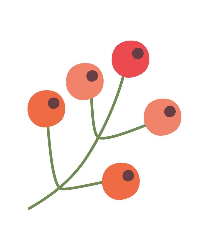 christmas seeds in branch 12869837 Vector Art at Vecteezy