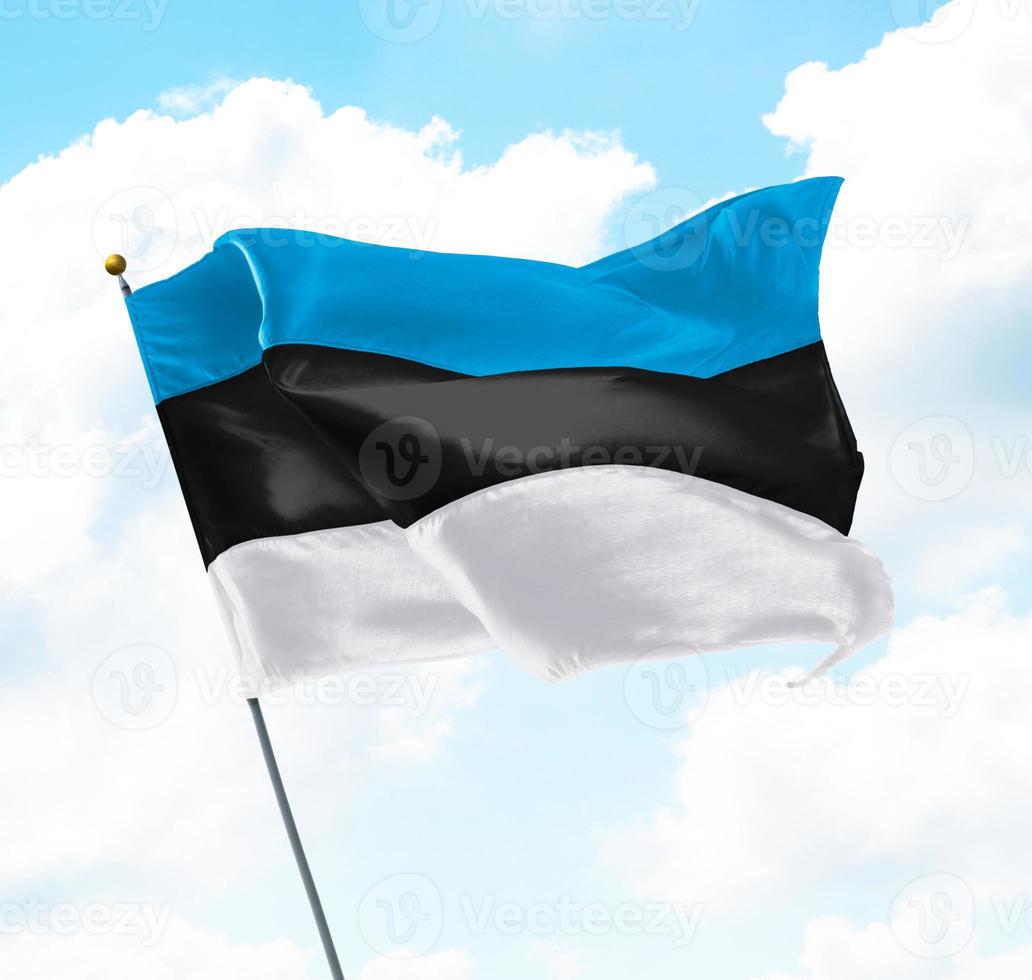 Flag of Estonia photo