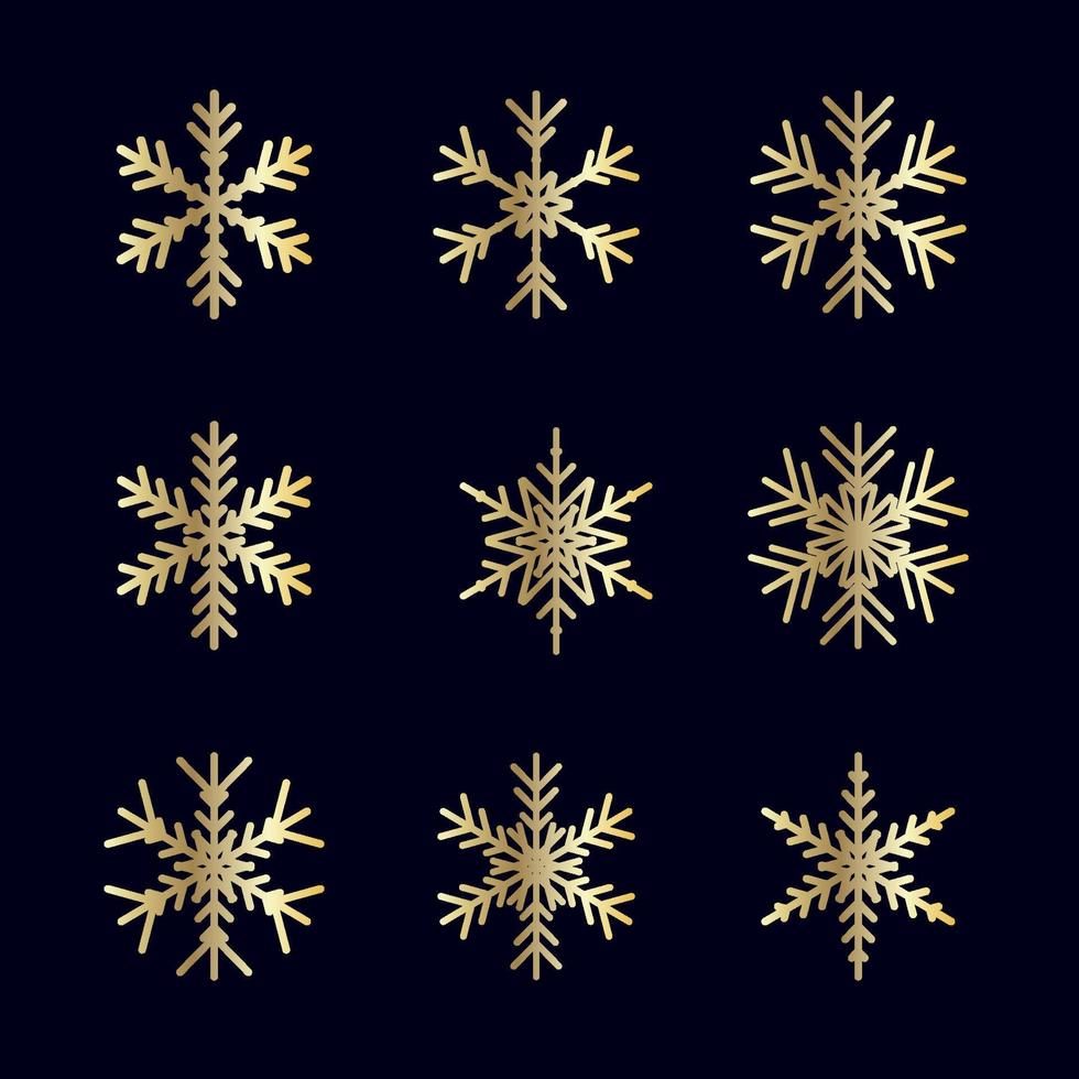 Vector set of different snowflakes