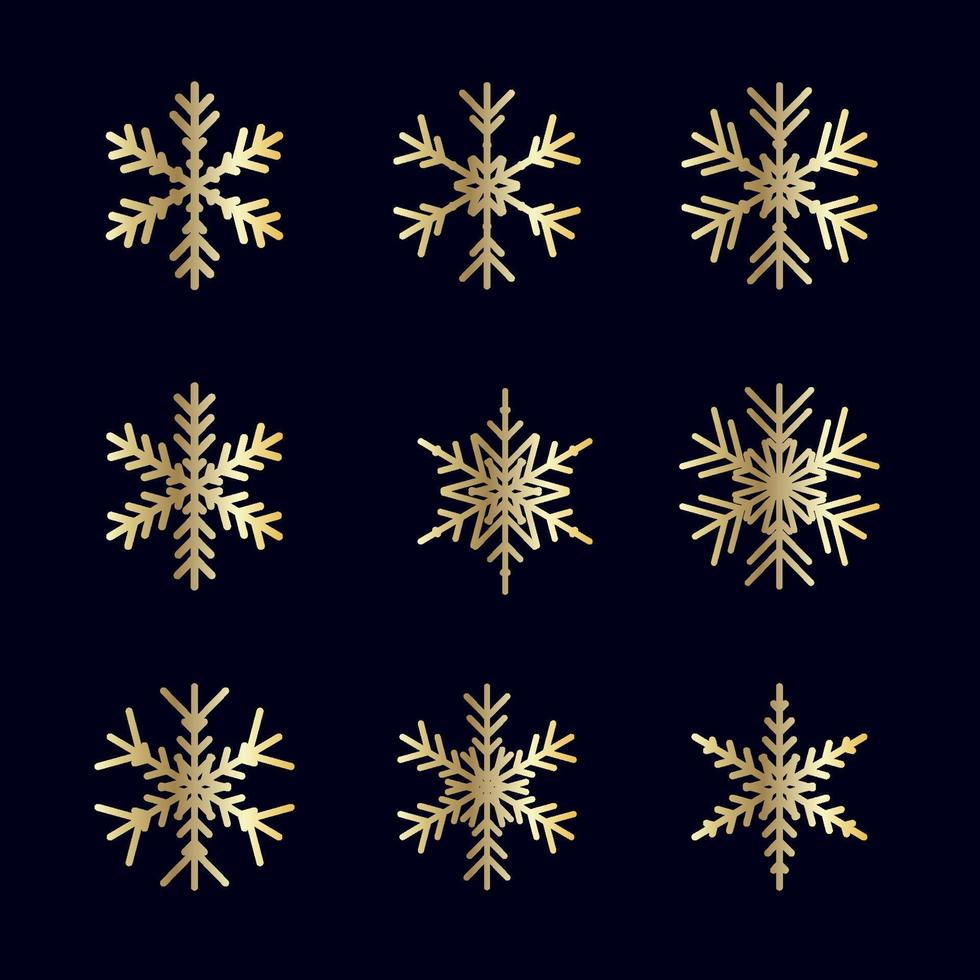 Vector set of different snowflakes