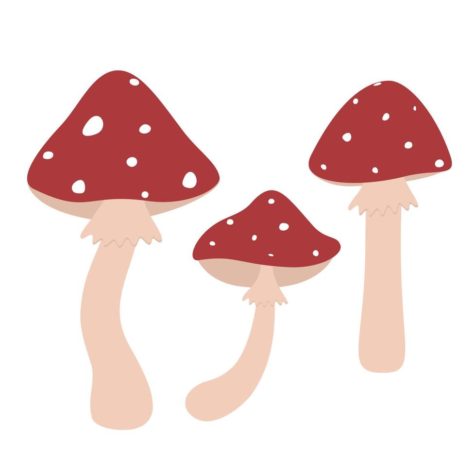 fly agaric set vector