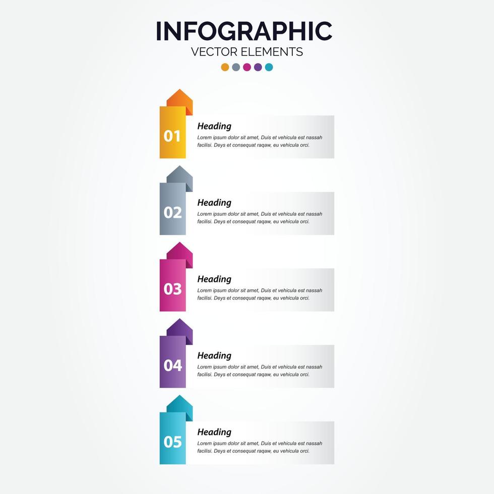 Vertical Infographic business marketing vector design colorful template folder 5 options or steps in minimal style