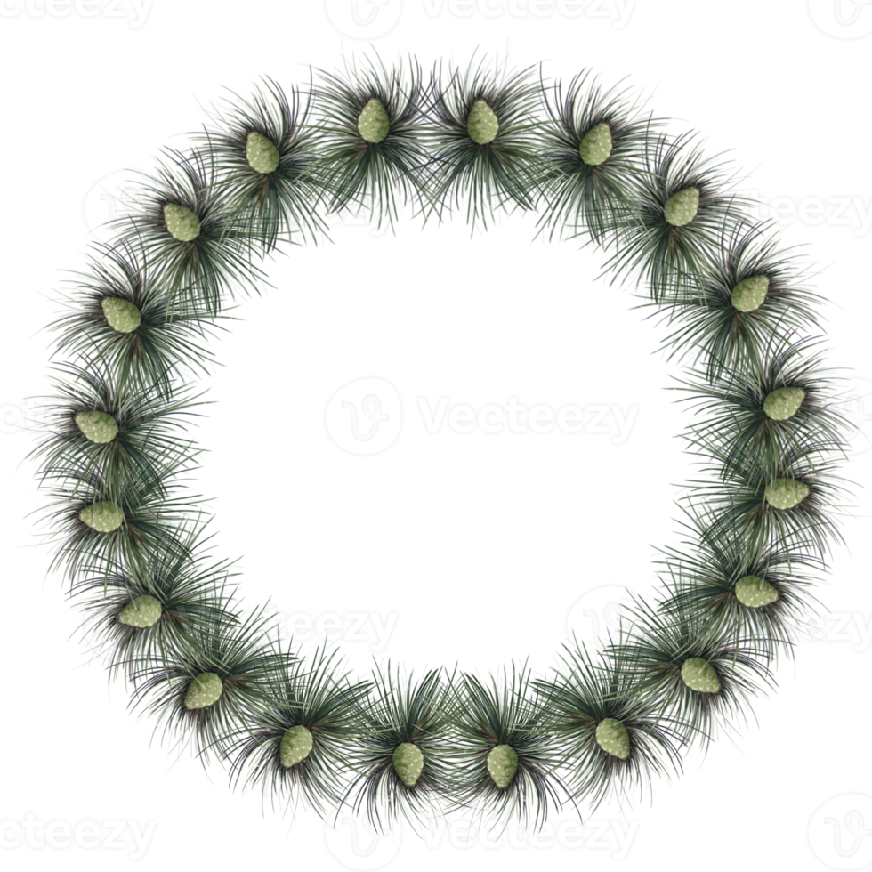 wreath of christmas tree branches, illustration png