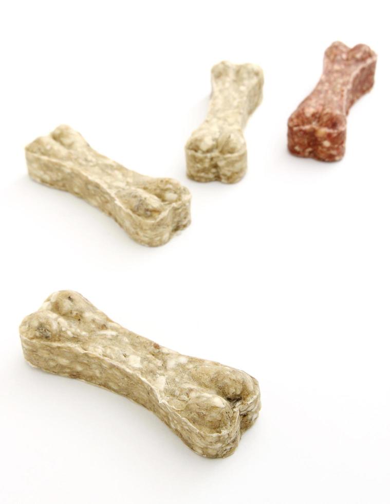 Dog bone food isolated on white photo