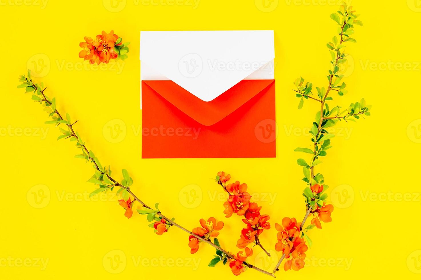 Creative flat lay of blankenvelopes frame mock up and quince tree flowers petals on yellow background with copy space in minimal style, template for lettering, text or your design photo